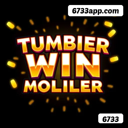 Formulário registro 6733